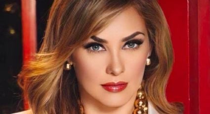 Aracely Arámbula responde a hater que la llamó “vieja”: “Gracias por tanta admiración”