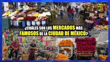 ¿Cuáles son los mercados más famosos de la Ciudad de México?