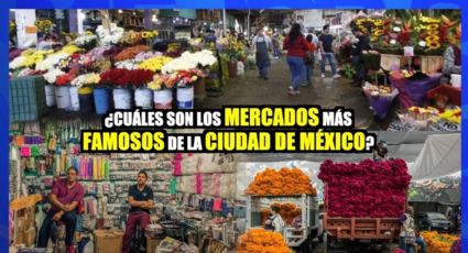 ¿Cuáles son los mercados más famosos de la Ciudad de México?