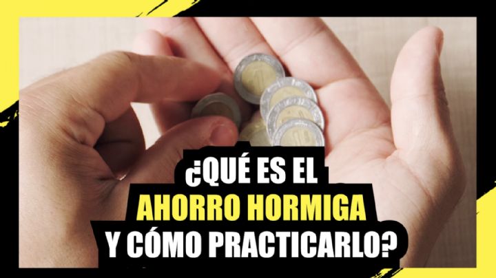 ¿Qué es el ahorro hormiga y cómo practicarlo?