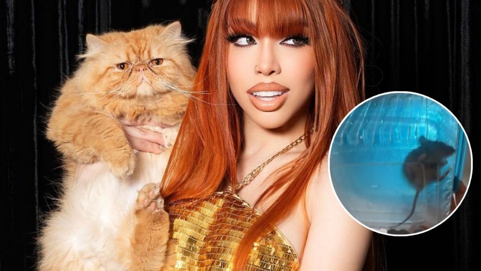 Yeri Mua encontró un ratón y lo adoptó