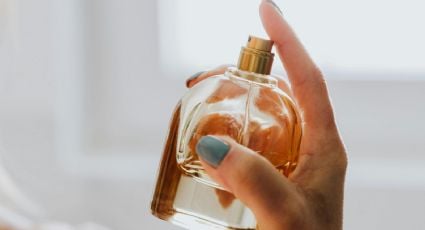 El top de perfumes que debes tener en tu colección porque despiertan muchos halagos en la calle