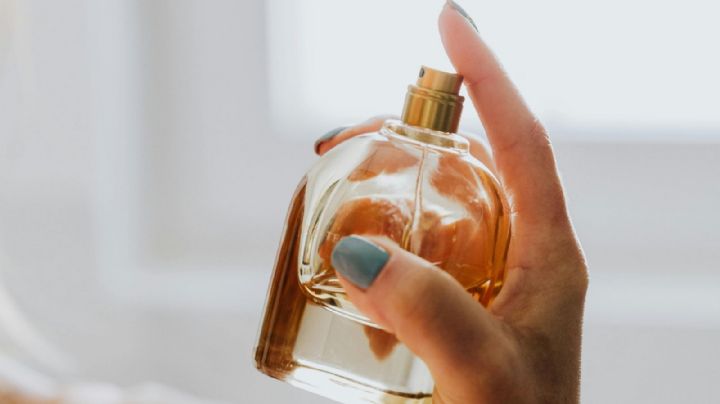 El top de perfumes que debes tener en tu colección porque despiertan muchos halagos en la calle