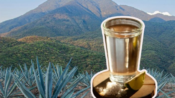 Mezcal: 5 secretos y curiosidades que desconocías sobre la bebida mexicana