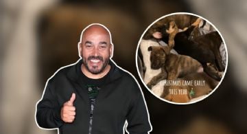 Lupillo Rivera conmociona a internautas tras rescatar 5 perritos callejeros 