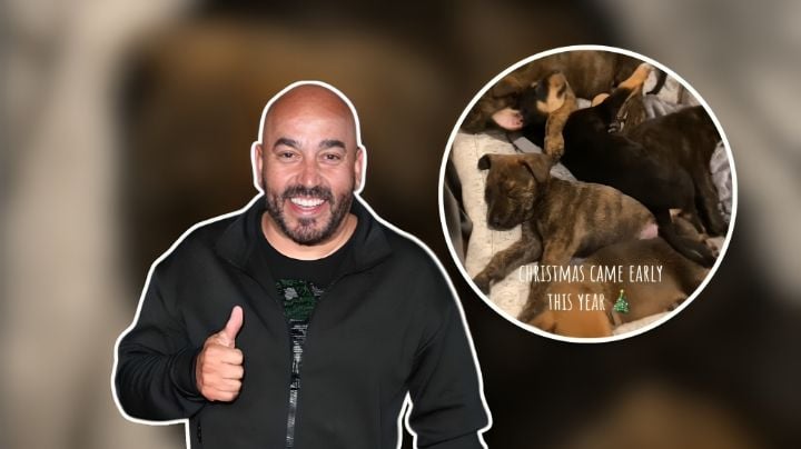 Lupillo Rivera conmociona a internautas tras rescatar 5 perritos callejeros 