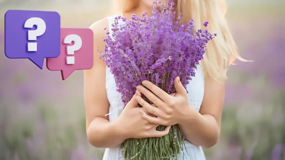 ¿Por qué se regalan flores moradas?