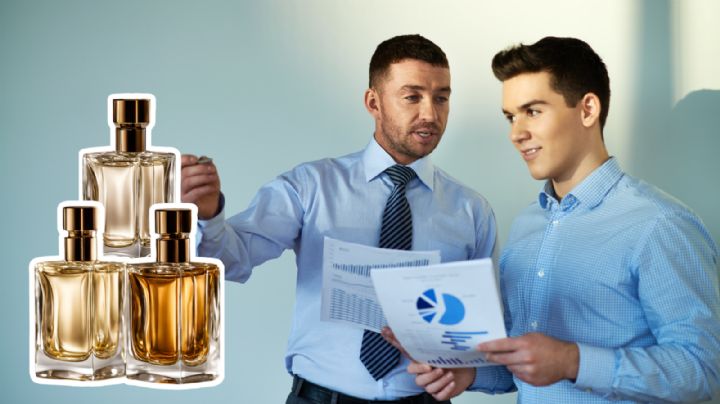 Los 5 mejores perfumes para contadores, según la IA