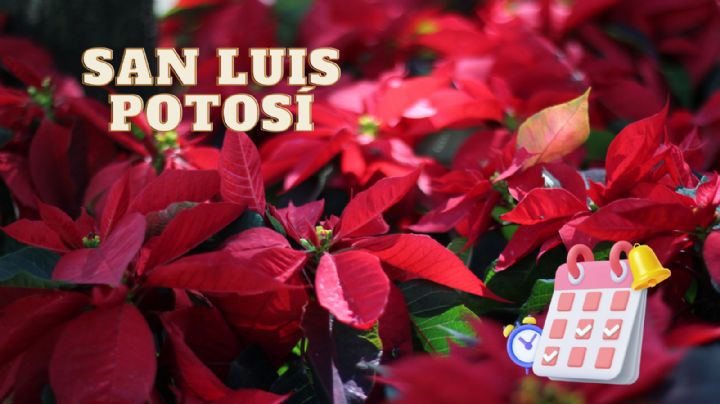 ¿Cuándo termina la Feria de la Nochebuena, San Luis Potosí 2024? Horarios y precios