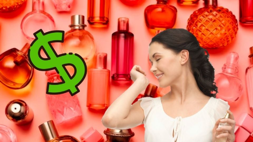 Perfumes económicos para el día a día.