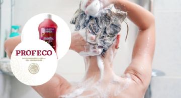 Los MEJORES shampoos profesionales aprobados por PROFECO