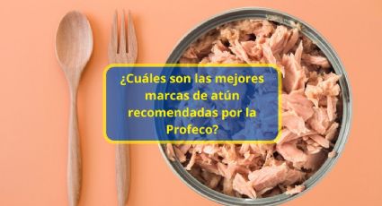 ¿Cuáles son las mejores marcas de atún recomendadas por la Profeco?