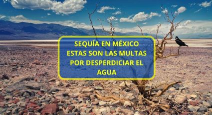 Sequía en México 2024: ¿De cuánto son las multas por desperdiciar agua?