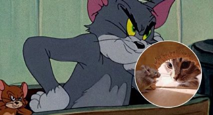 IA: Así se vería Tom de Tom y Jerry en la vida real