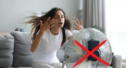 ¿Cómo mantener tu casa fresca si no tienes aire acondicionado?