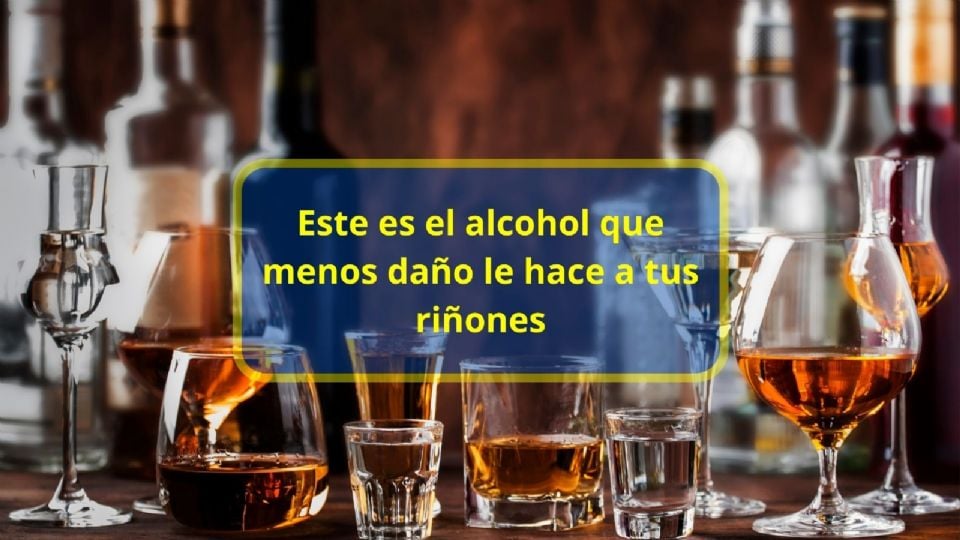 ¿Qué tipo de alcohol es menos dañino para los riñones? | La Mejor