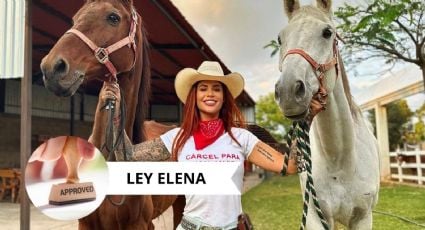 Elena Larrea: El mejor homenaje para la activista, entra en vigor la ‘Ley Elena’