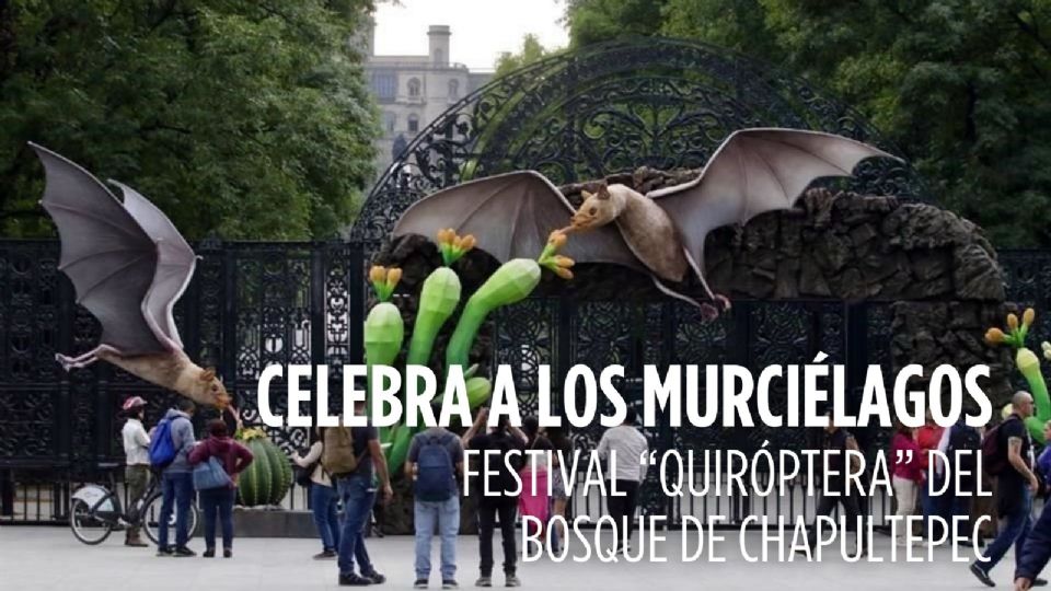 FESTIVAL “QUIRÓPTERA” DEL BOSQUE DE CHAPULTEPEC