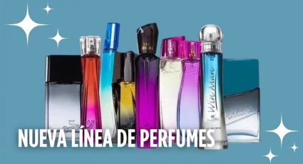 Esta marca económica estrena nuevos aromas en sus fragancias de nicho: ¿Cuánto cuestan?