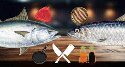 ¿Qué es más saludable el atún o sardina? Esta es la mejor opción para tu salud