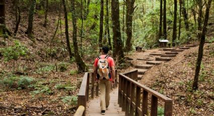 Actividades en el Bosque de Chapultepec abril 2024: Clases de salsa GRATIS, conciertos y rodadas