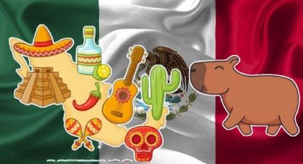 ¿Por qué se dice que México es la Capibara del mundo? Te contamos