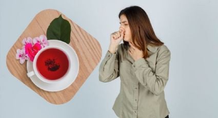 ¿Qué beneficios tiene el té de bugambilia y cómo se prepara para la tos? Estos son sus usos y contraindicaciones