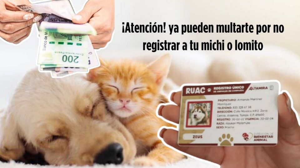 En la CDMX, los dueños de mascotas enfrentan nuevas responsabilidades legales con la implementación del Registro Único de Animales de Compañía (RUAC).