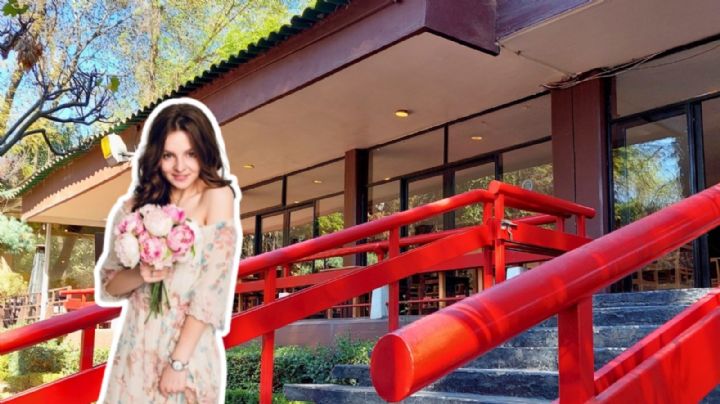 Festival Japonés de Primavera: Dónde y cuándo comprar boletos para la celebración en CDMX