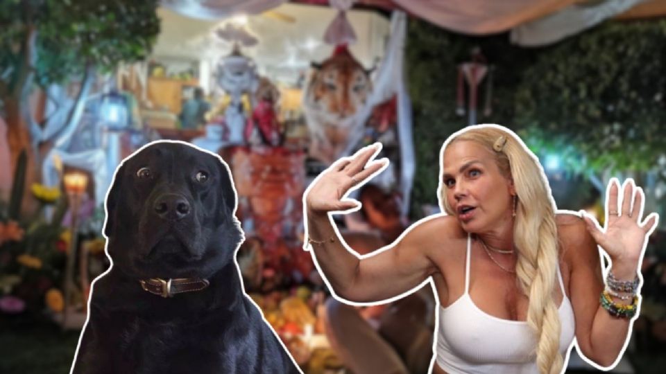 Una ex empleada doméstica de la famosa, señaló que la cubana realiza sacrificios de animales, especialmente perros callejeros, para la práctica de su religión.