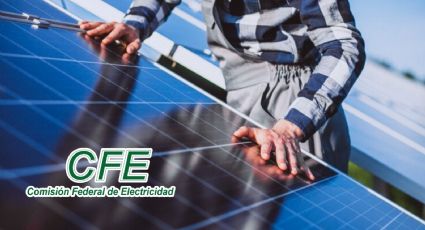 ¿Cómo pedir un panel solar GRATIS a la CFE? Este es el paso a paso