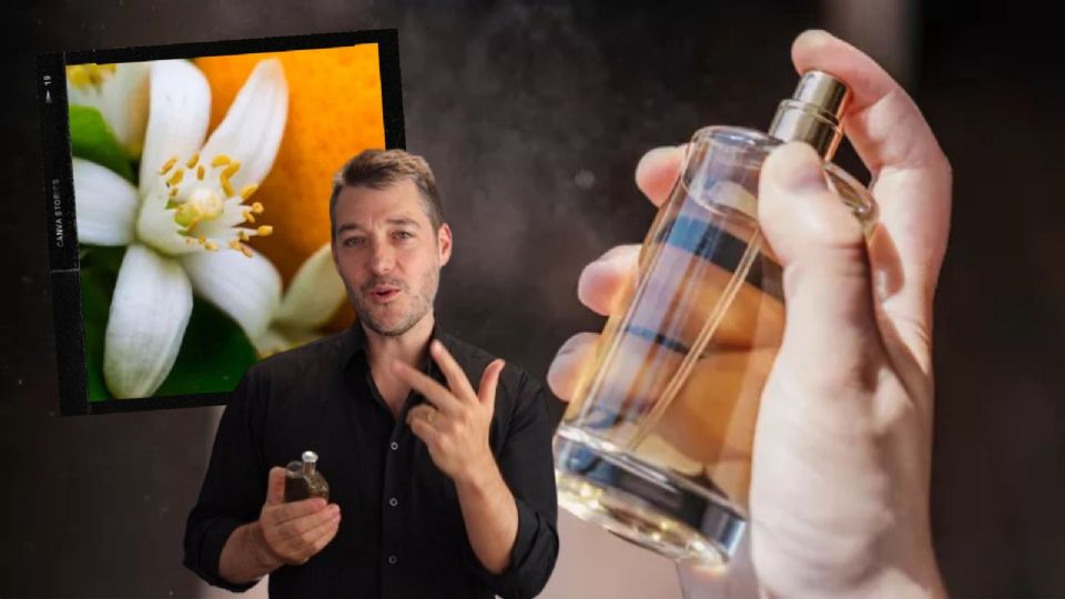 Perfumes de hombre relajantes