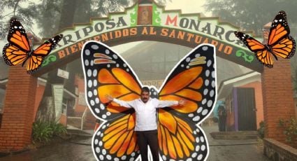 El Guardián de la Monarca: ¿Qué fue del santuario de la mariposa “El rosario”?