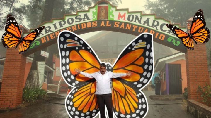 El Guardián de la Monarca: ¿Qué fue del santuario de la mariposa “El rosario”?