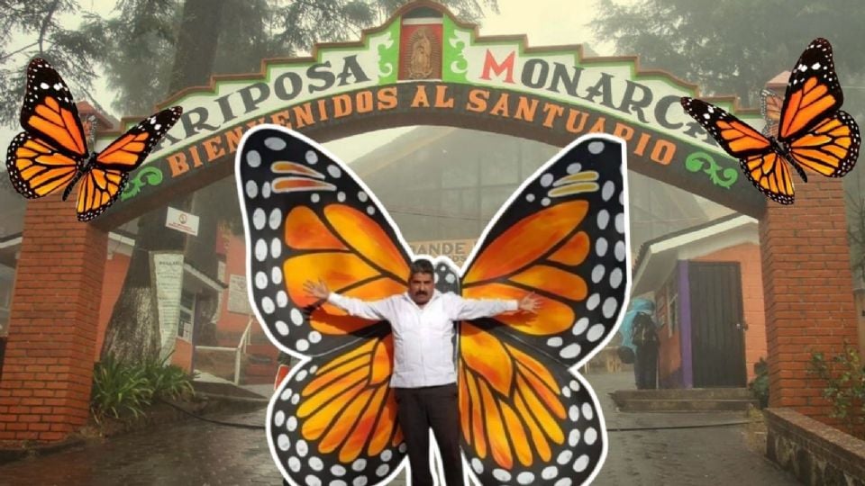 El Santuario de la mariposa monarca 'El Rosario', es uno de los más reconocidos para observar esta especia que está en peligro de extinción.