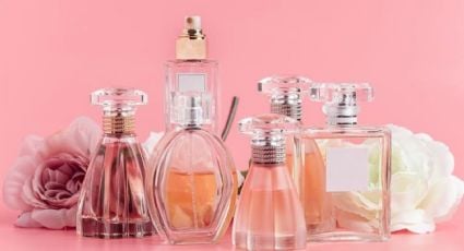 Perfumes de alta gama con el 60% de descuento: ¿cómo y dónde comprarlos?