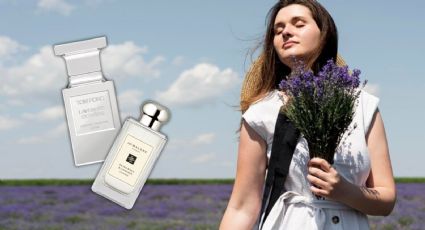 10 Perfumes de mujer con aroma a lavanda, ¡te sentirás en un campo de flores!