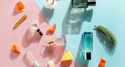 ¿Qué tipos de aromas en perfumes existen? Así se clasifican; estas son sus características de cada uno