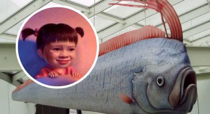 Pez remo o “pez catastrófico”: 5 curiosidades sobre este animal supuestamente apocalíptico