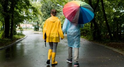 Tormenta tropical “Alberto” 2024: ¿Qué estados suspenden CLASES y a partir de cuándo?