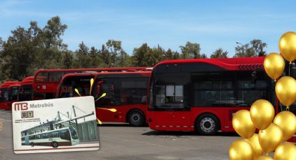 Metrobús cumple 19 años de servicio y lo celebra con "Metrobusitos": ¿dónde conseguirlos?