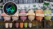 Foto ilustrativa de la nota titulada Pulque Fest 2024 en la CDMX: ¿Cuándo, dónde y qué sabores de los curados habrá?