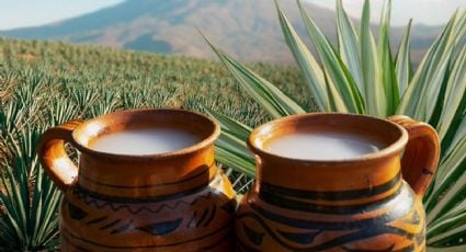 Pulque Fest 2024: ¿Cuándo, dónde y a qué hora se realizará el evento?