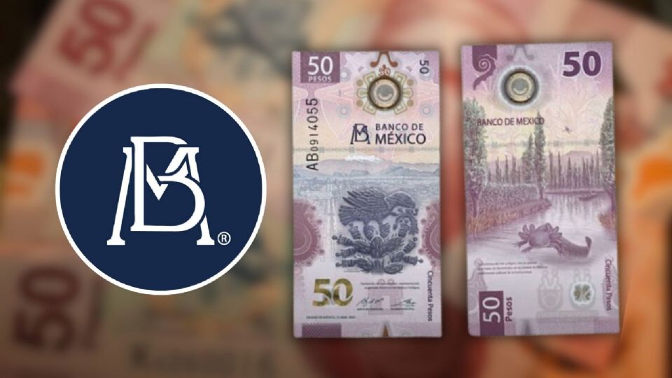 Te detallamos cuáles son los billetes de 50 pesos más valiosos en México.