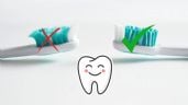 Foto ilustrativa de la nota titulada Cuál es el momento ideal para cambiar tu cepillo de dientes, según la Asociación Dental Americana