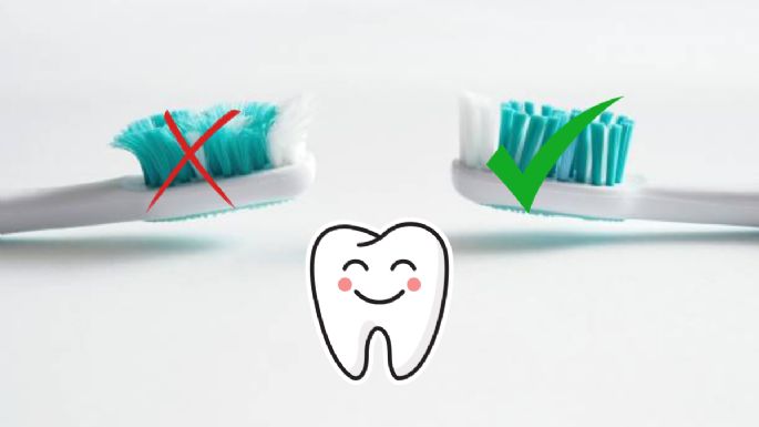 Cuál es el momento ideal para cambiar tu cepillo de dientes, según la Asociación Dental Americana