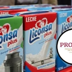 ¿Qué tan buena y recomendable es tomar leche Liconsa? Esto dice Profeco
