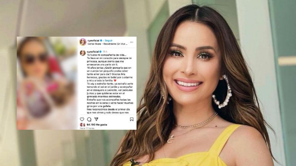 Cynthia Rodríguez le dio el último adiós a su querida compañera de vida,