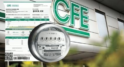 CFE 2024: ¿Cómo pagar hasta 50% menos en tu recibo de luz?