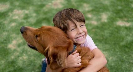 Descubre las 5 mejores razas de perros para una casa con niños, según especialistas